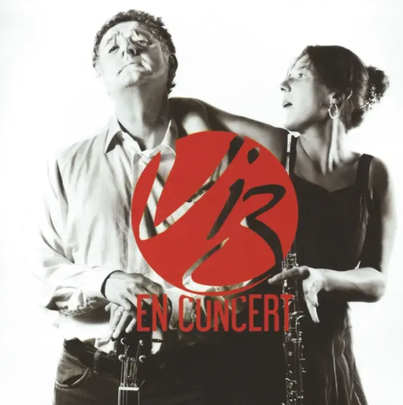 ViZ en concert
